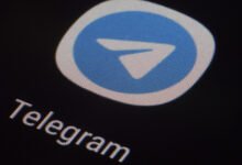 Telegram Takedown Exploits
