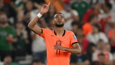 Tottenham Pursues £72M Cody Gakpo Transfer