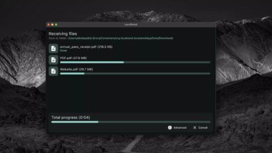 LocalSend Releases Security Update