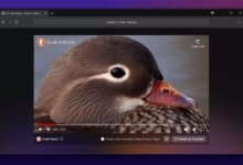 DuckDuckGo Sells Out Anti-AI Sunglasses