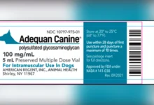 American Regent Recalls Veterinary Medications