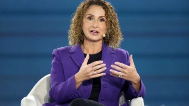 Google DeepMind Executive on AI Risks