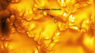 Solar Telescope Reveals Magnetic Vortices