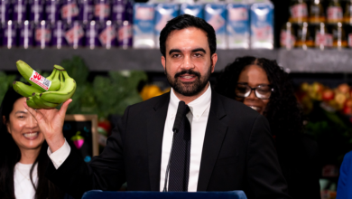NYC Municipal Grocery Store Proposal