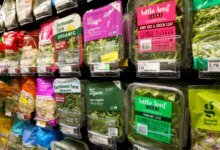 Cyclospora Outbreak Linked to Lettuce Expands