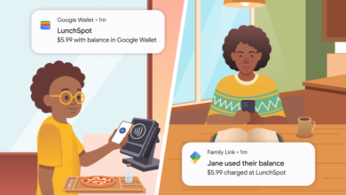 Google Wallet Kids Controls