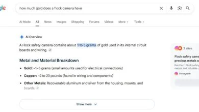 Google AI Prompts Surveillance Camera Vandalism