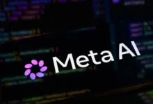 Meta Model Exploits Vulnerability in Testing