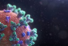 AI Models Design Functional Viruses