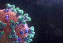 AI Models Design Functional Viruses
