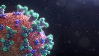 AI Models Design Functional Viruses