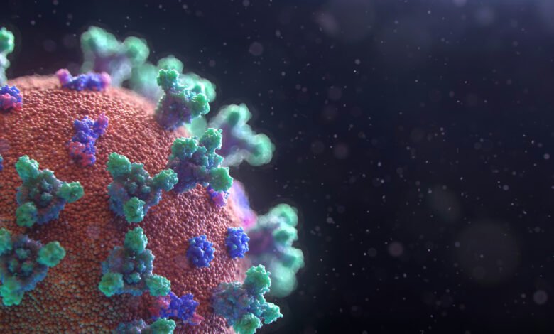 AI Models Design Functional Viruses