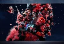 Dolby Vision 2 Begins Rollout
