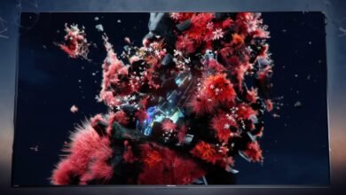 Dolby Vision 2 Begins Rollout