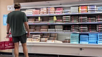FDA Upgrades Egg Recall Risk