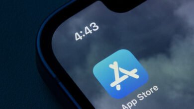 Apple Data Prompt Ruling