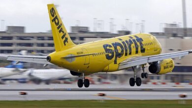 Google Buys Spirit Airlines Data