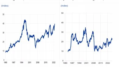 ECB Warns of AI Market Correctio