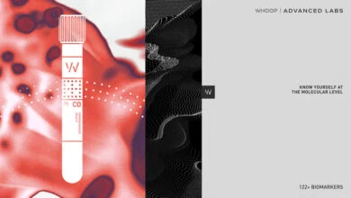 Whoop Eliminates Subscription Paywall for Advanced Labs Blood Screenings 10 Whoop Advanced Labs