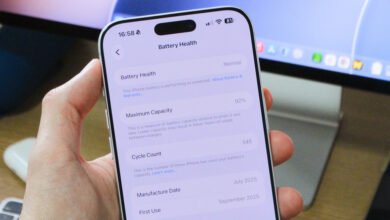 iPhone Battery Lifespan