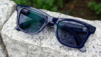 ICE Smart Glasses Ban