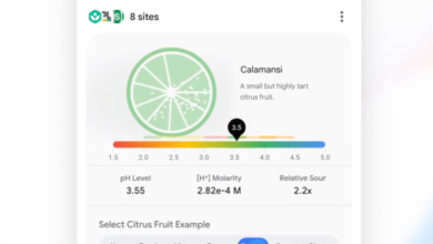 Google AI Study Tools