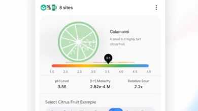 Google AI Study Tools