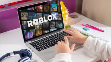 Roblox Child Safety Investigation