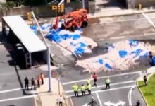 Rhode Island Squid Spill