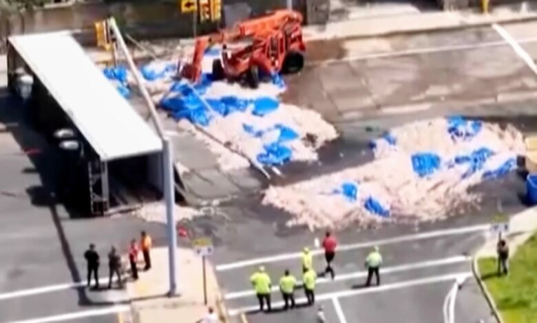 Rhode Island Squid Spill
