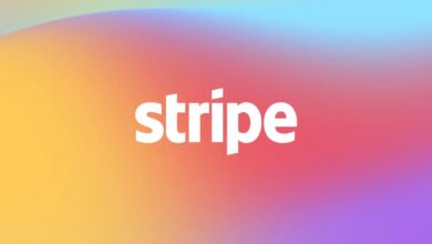 Stripe AI Singularity Strategy