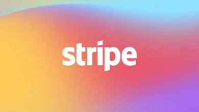Stripe Declares Start of 'Singularity' to Justify Staying Private and Funding $8B AI Deals 2 Stripe AI Singularity Strategy
