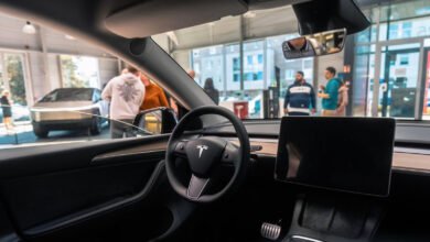 Tesla Autonomous Robotaxi Fleet