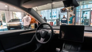 Tesla Autonomous Robotaxi Fleet