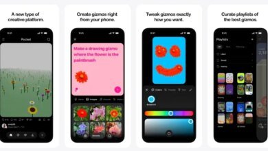Pocket AI App Expansion