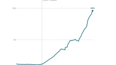AI Web Content Study