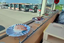 Tokyo Sushi Bus Dining Tour