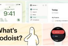 Todoist Team Adoption