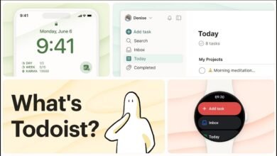 Todoist Team Adoption