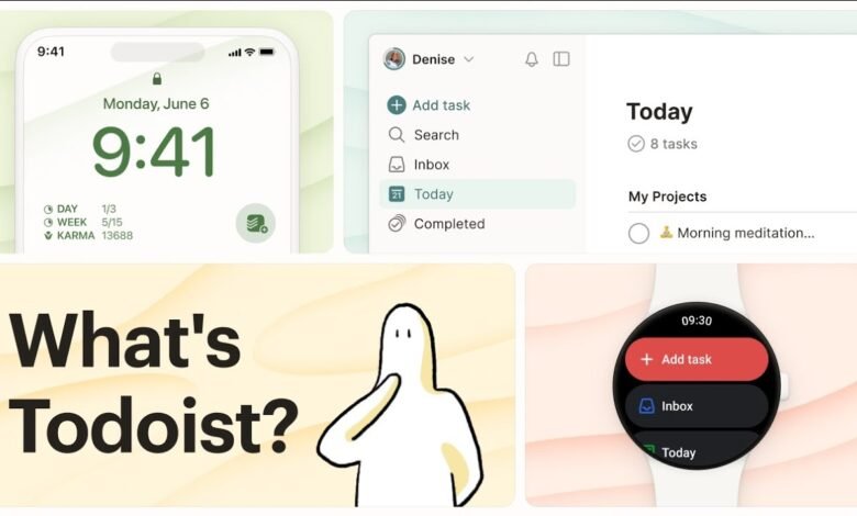 Todoist Team Adoption
