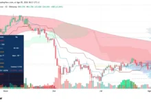 Zcash Diverges From Bitcoin Following Upgrade