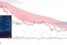 Crypto Whales Accumulate XRP and Major Assets