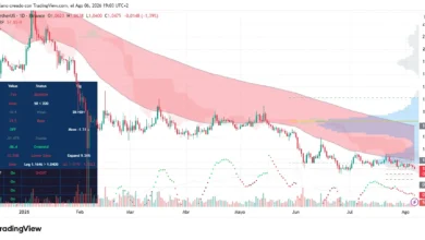 Crypto Whales Accumulate XRP and Major Assets