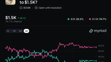 Bitmine Ethereum Treasury Expansion