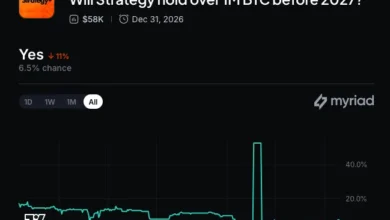Strategy Bitcoin Treasury Rebounds to $1.4B Profit After Summer Slump 11 Strategy Bitcoin Portfolio