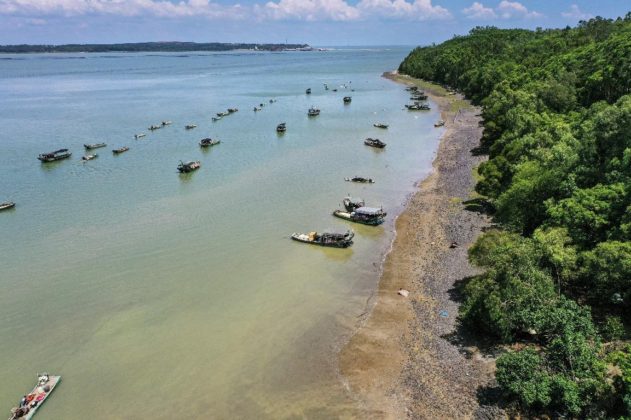 Photo shows the Shankou Mangrove Nature Reserve in Shankou township, Hepu county, south China’s Guangxi Zhuang autonomous region. (Photo by Zhao Min/People’s Daily Online)