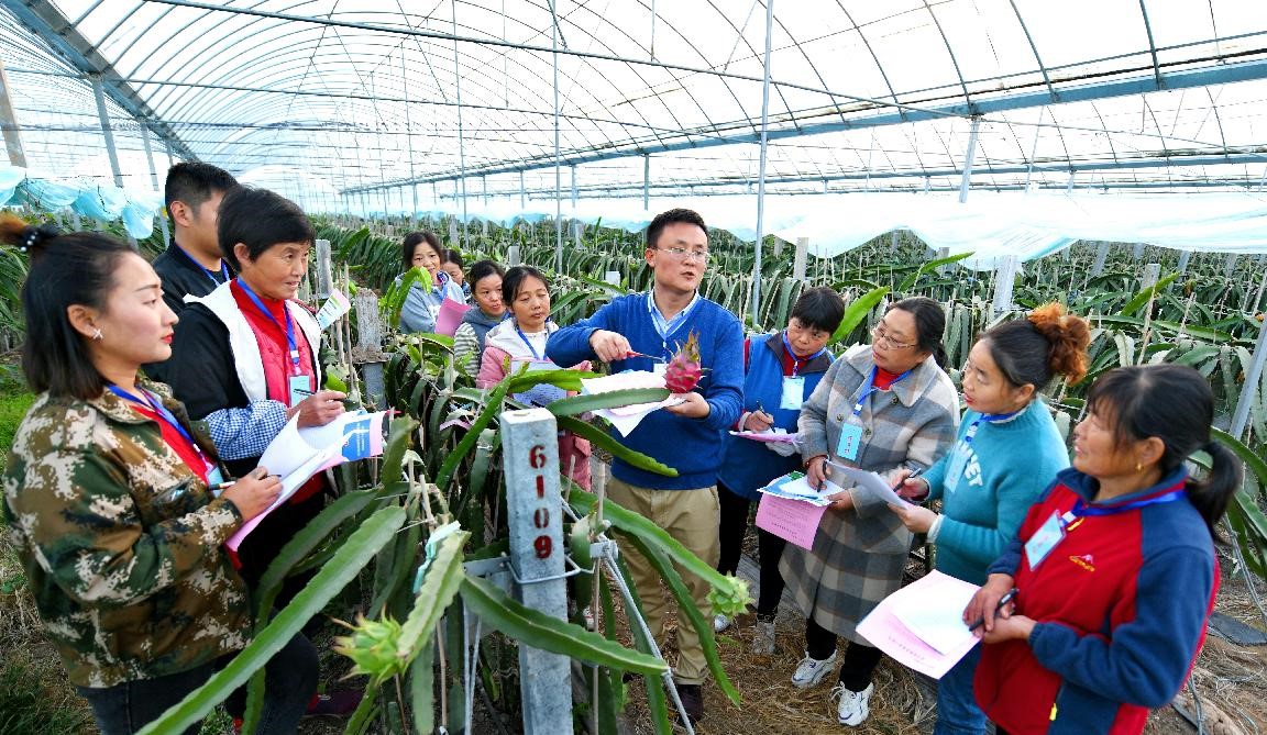 An agronomist gives a lesson in a greenhouse of a pitaya production base in Changfeng township, Yingjiang district, Anqing, east China's Anhui province, Dec. 1, 2021. (Photo by Huang You'an/People's Daily Online)