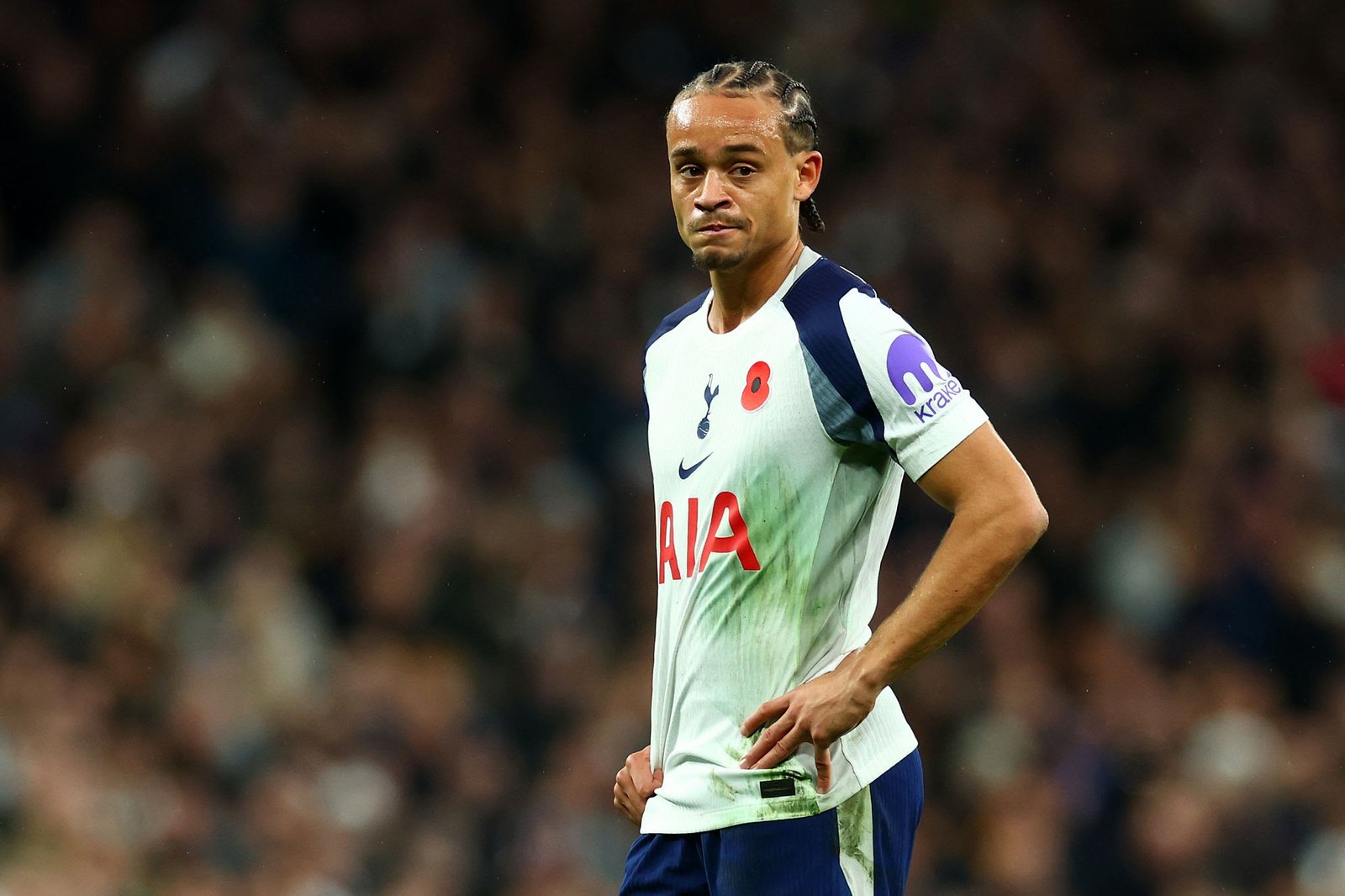 1767770004 licensed image