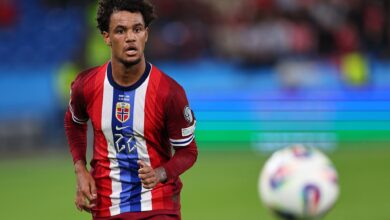 1769155640 licensed image