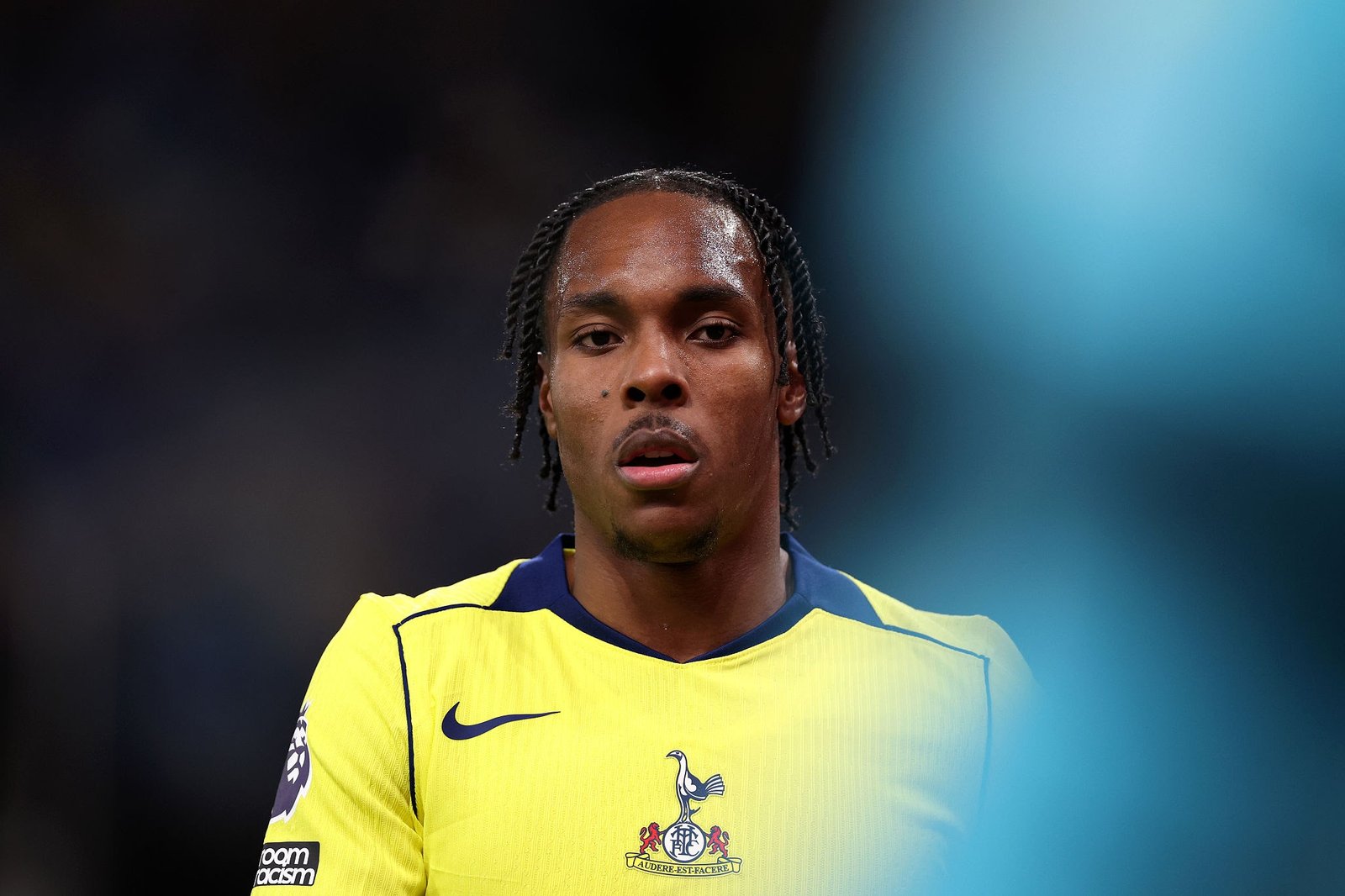 1769161232 licensed image